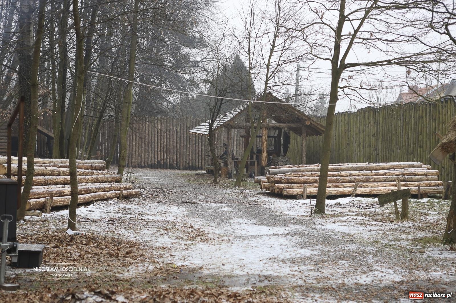 Zdjęcie w galerii na portalu naszraciborz.pl: Morsy i ognisko w Grodzie – wspólne spotkanie mieszkańców i wsparcie dla WOŚP [FOTO i WIDEO] wiadomości z regionu