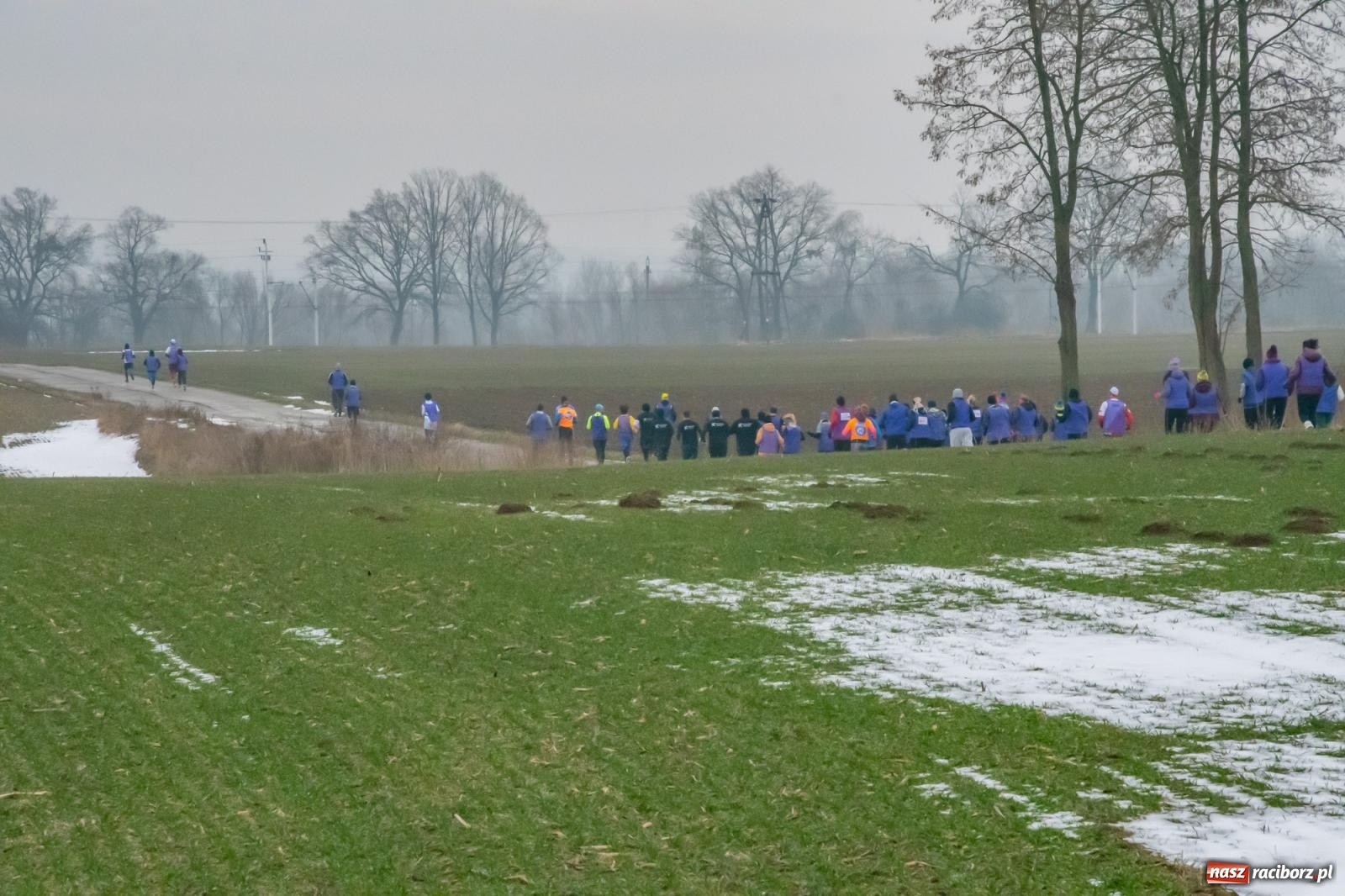 Zdjęcie w galerii na portalu naszraciborz.pl: II Bieg Sołtysa w Roszkowie na finał WOŚP pobił rekordy wiadomości z regionu