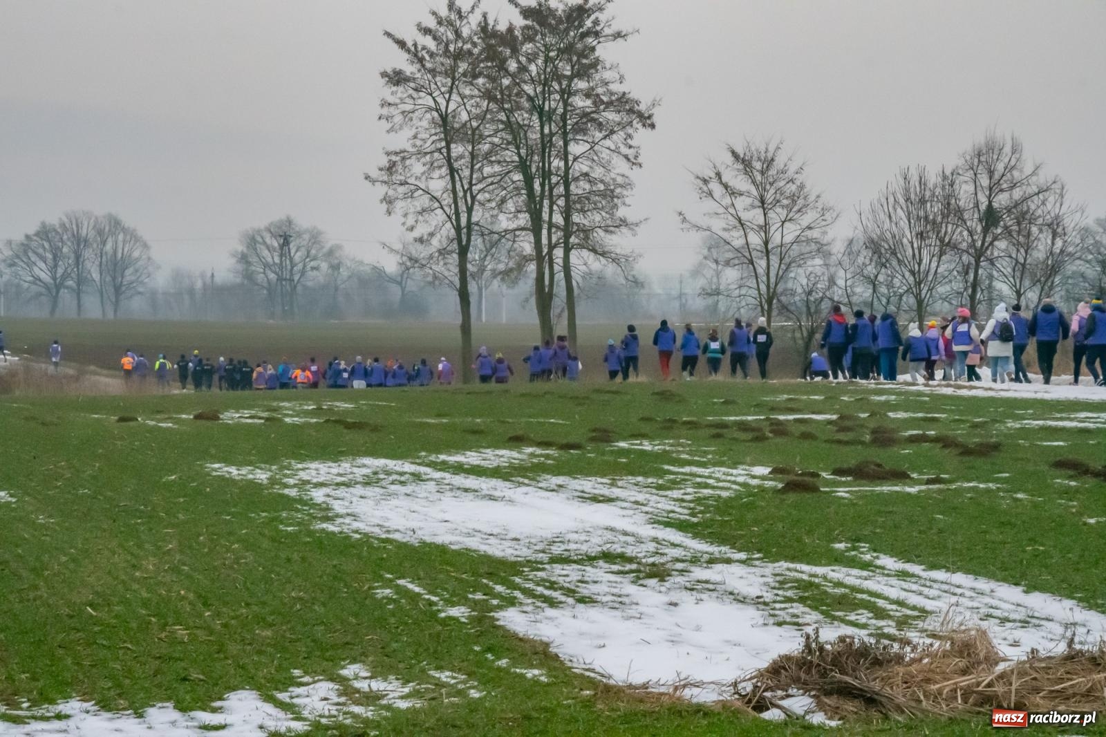 Zdjęcie w galerii na portalu naszraciborz.pl: II Bieg Sołtysa w Roszkowie na finał WOŚP pobił rekordy wiadomości z regionu