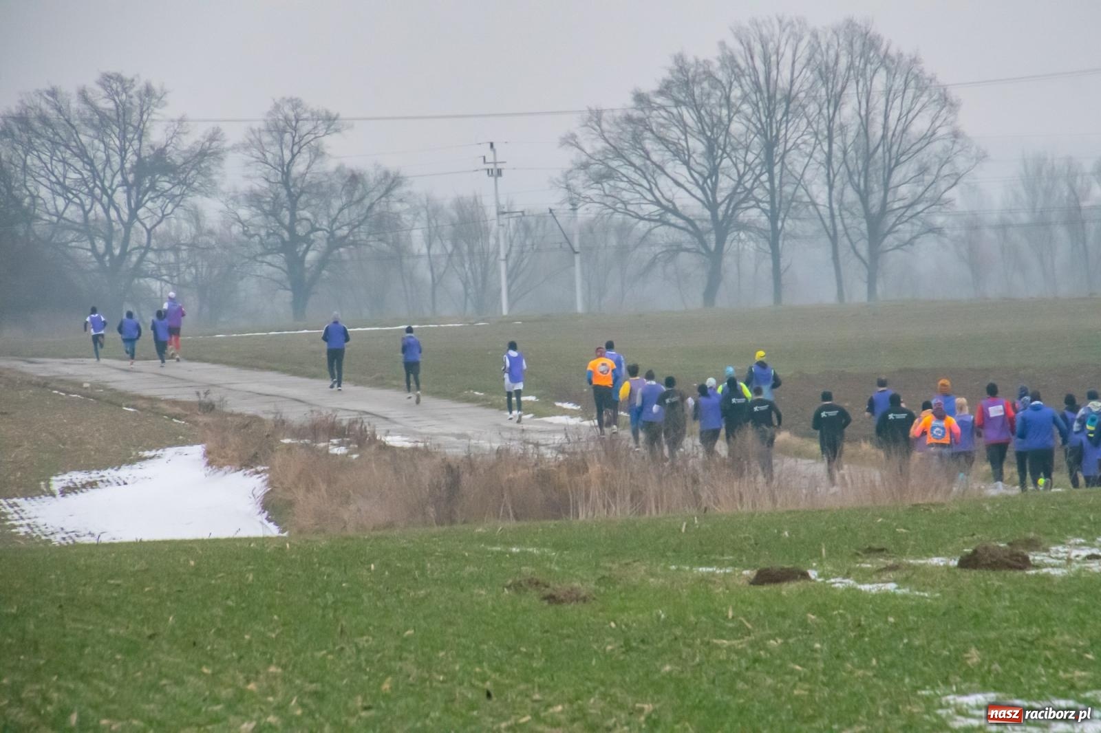 Zdjęcie w galerii na portalu naszraciborz.pl: II Bieg Sołtysa w Roszkowie na finał WOŚP pobił rekordy wiadomości z regionu