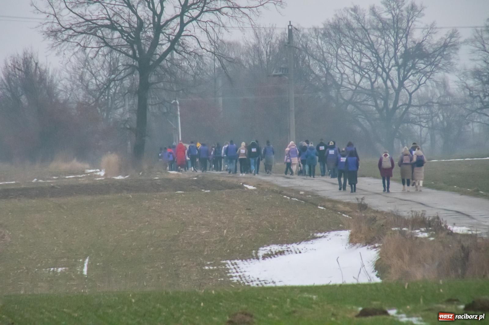 Zdjęcie w galerii na portalu naszraciborz.pl: II Bieg Sołtysa w Roszkowie na finał WOŚP pobił rekordy wiadomości z regionu