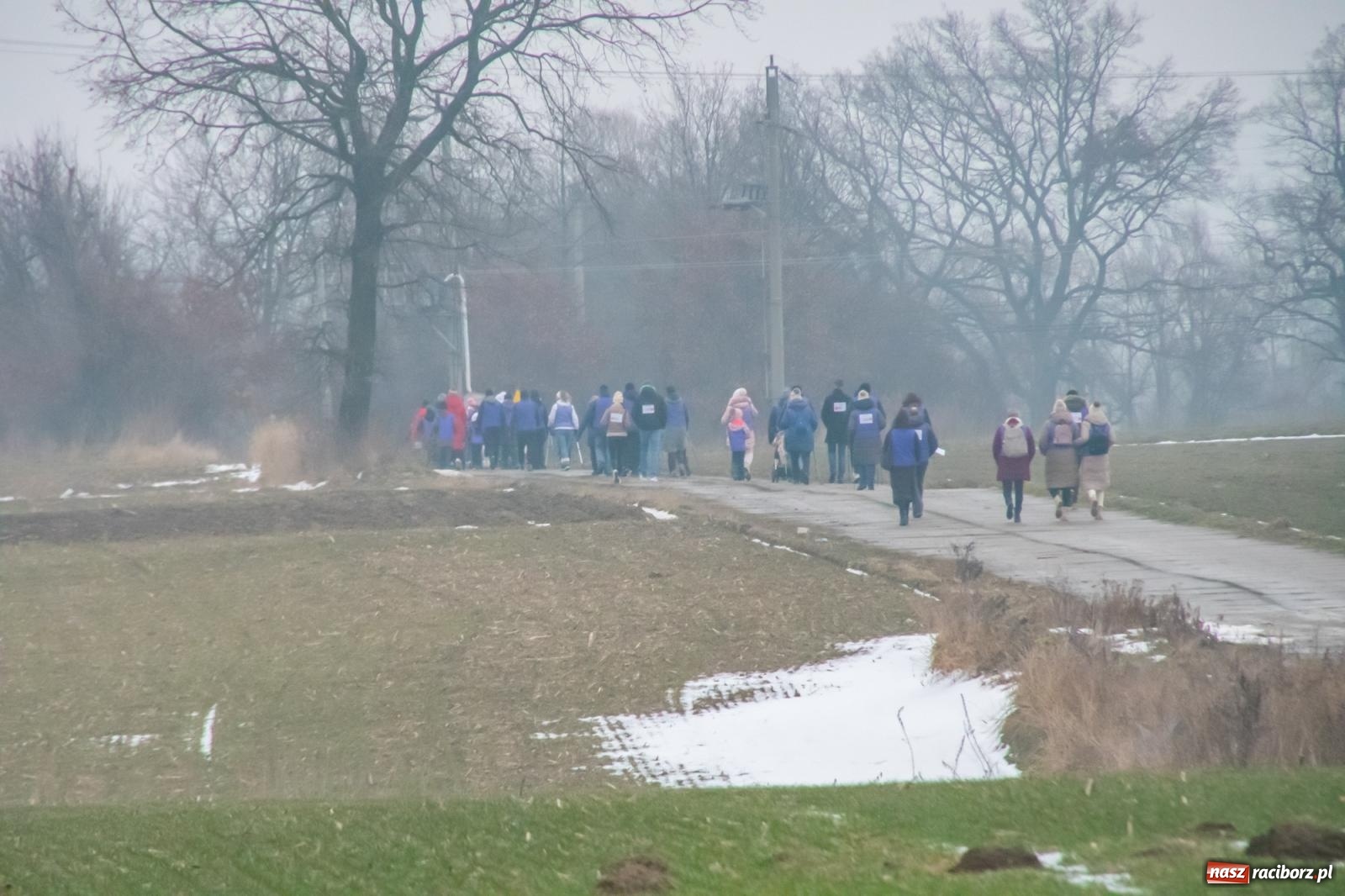 Zdjęcie w galerii na portalu naszraciborz.pl: II Bieg Sołtysa w Roszkowie na finał WOŚP pobił rekordy wiadomości z regionu