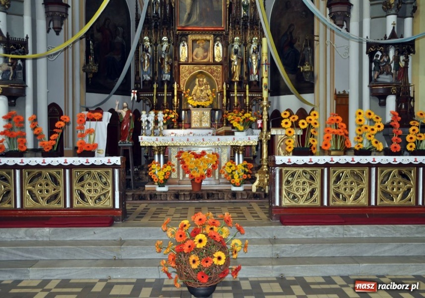 Zdjęcie w galerii na portalu naszraciborz.pl: Pół tysiąca kwiatów na Ostrogu wiadomości z regionu