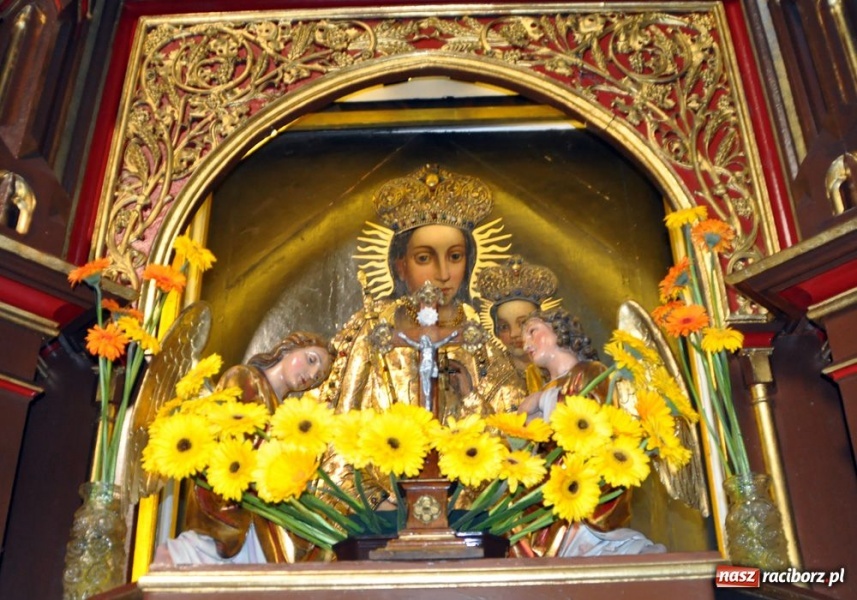 Zdjęcie w galerii na portalu naszraciborz.pl: Pół tysiąca kwiatów na Ostrogu wiadomości z regionu