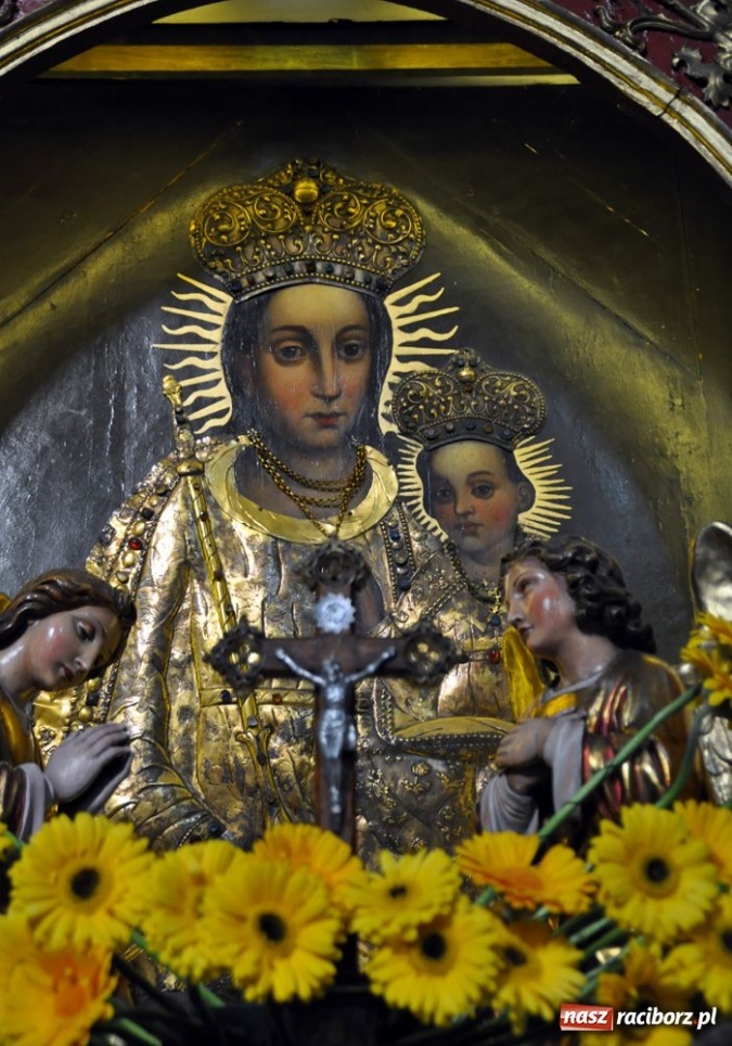 Zdjęcie w galerii na portalu naszraciborz.pl: Pół tysiąca kwiatów na Ostrogu wiadomości z regionu