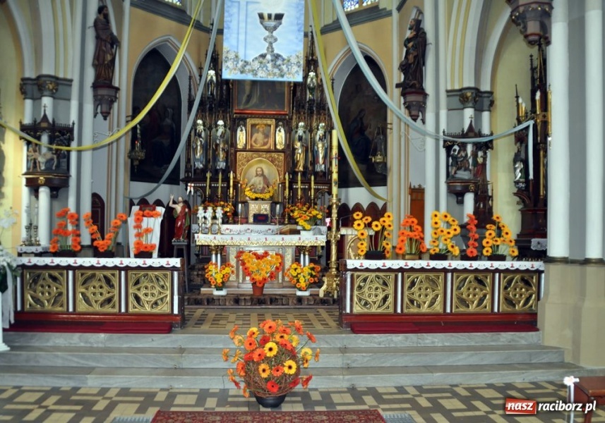 Zdjęcie w galerii na portalu naszraciborz.pl: Pół tysiąca kwiatów na Ostrogu wiadomości z regionu