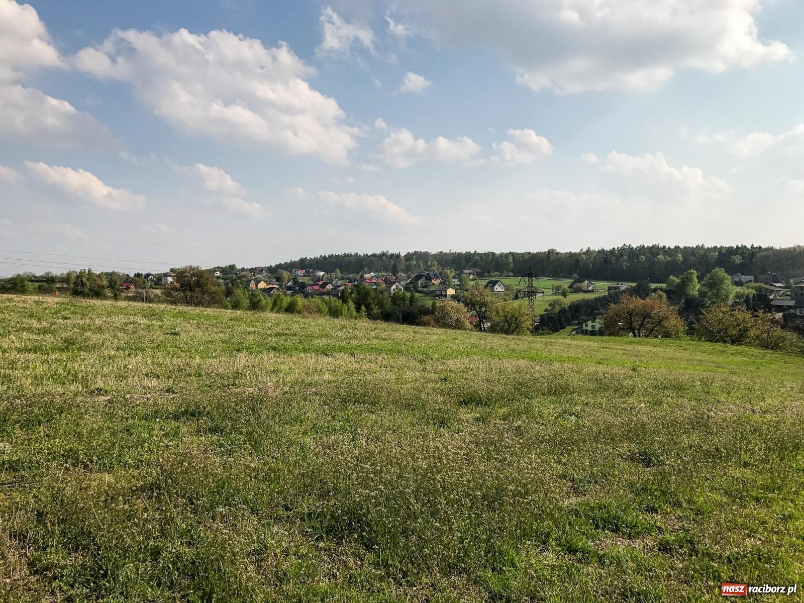 Zdjęcie w galerii na portalu naszraciborz.pl: Lipki - Boże miejsce nad Raciborzem. Historia Brzezia spięta ramami przyrody wiadomości z regionu