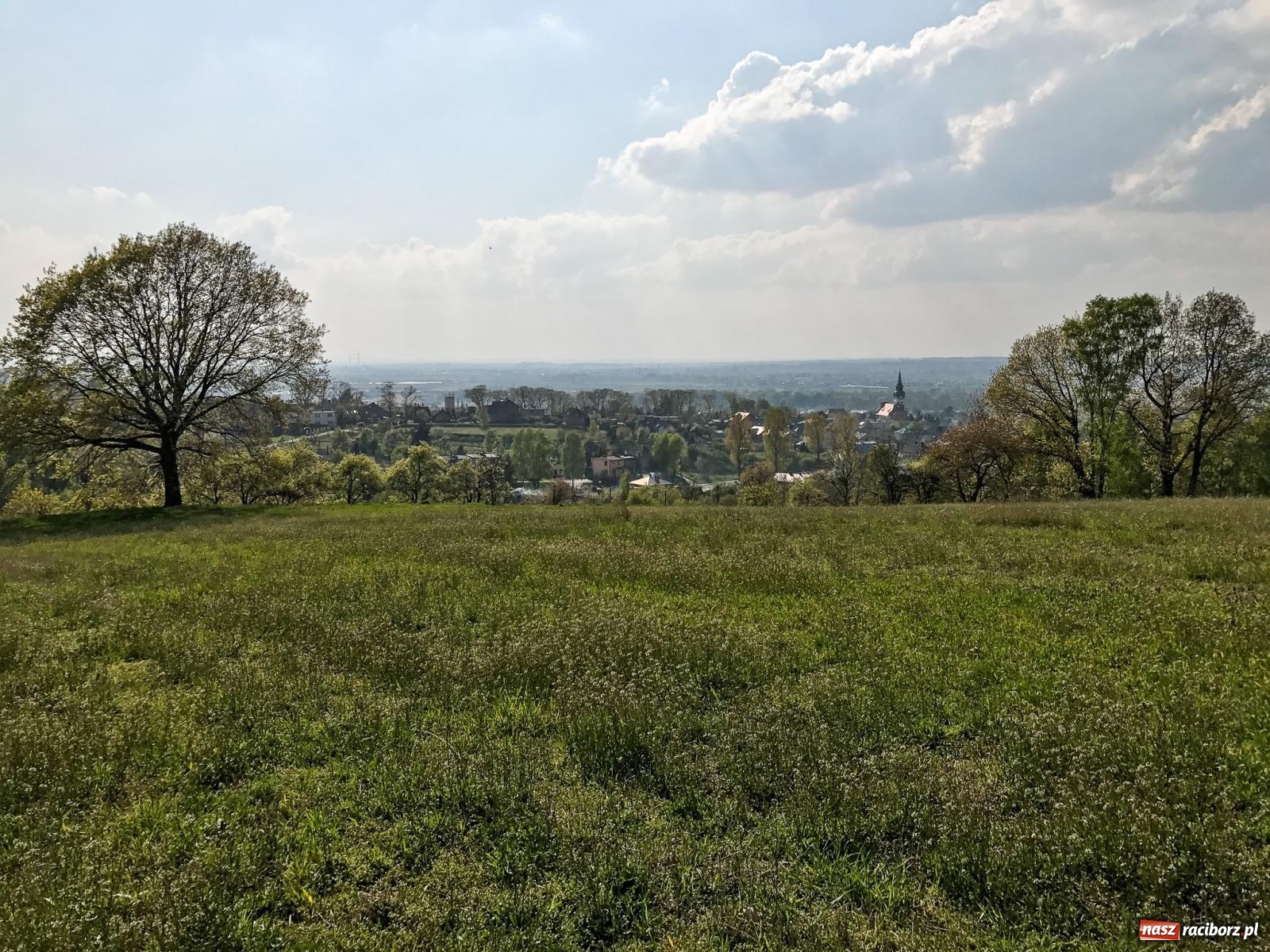 Zdjęcie w galerii na portalu naszraciborz.pl: Lipki - Boże miejsce nad Raciborzem. Historia Brzezia spięta ramami przyrody wiadomości z regionu