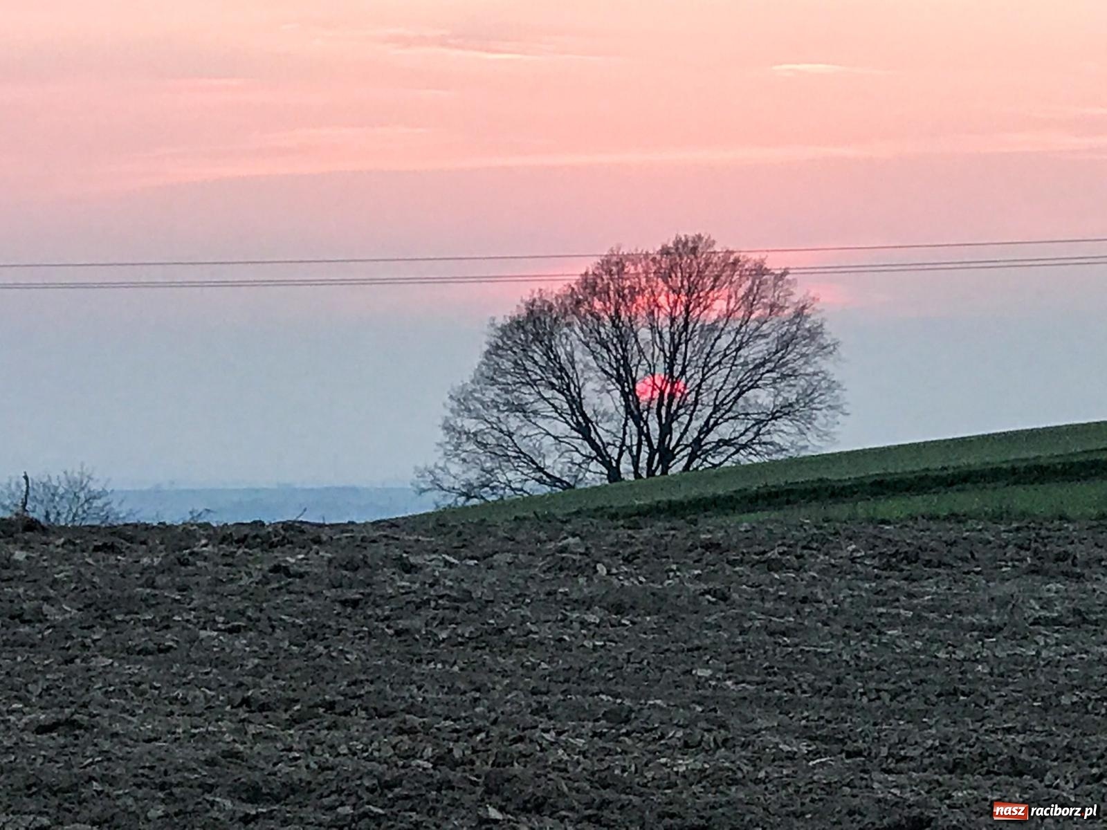 Zdjęcie w galerii na portalu naszraciborz.pl: Lipki - Boże miejsce nad Raciborzem. Historia Brzezia spięta ramami przyrody wiadomości z regionu