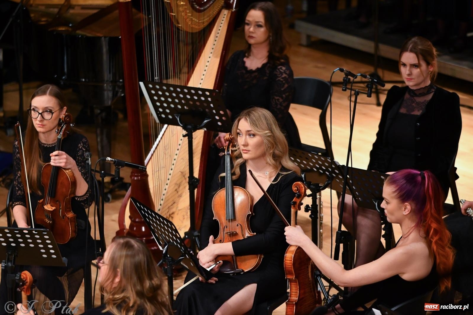Zdjęcie w galerii na portalu naszraciborz.pl: Prawykonanie Oratorium Bożonarodzeniowego na jubileusz 30-lecia chóru Bel Canto wiadomości z regionu