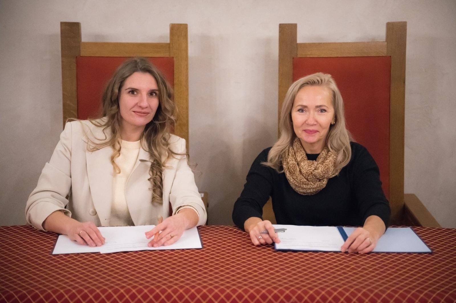 Zdjęcie w galerii na portalu naszraciborz.pl: Rusza realizacja projektu Park Historii przy Zamku Piastowskim w Raciborzu wiadomości z regionu