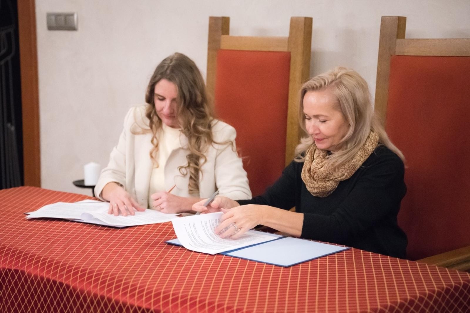 Zdjęcie w galerii na portalu naszraciborz.pl: Rusza realizacja projektu Park Historii przy Zamku Piastowskim w Raciborzu wiadomości z regionu