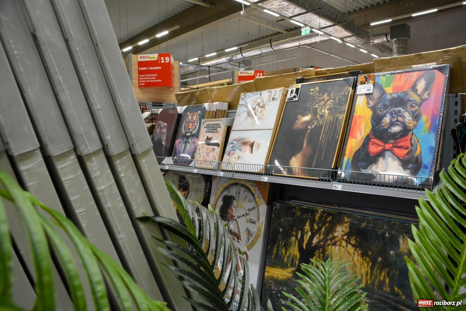 Zdjęcie w galerii na portalu naszraciborz.pl: Bricomarché rozszerza sieć o Racibórz. Dziś otwarto sklep przy Opawskiej wiadomości z regionu