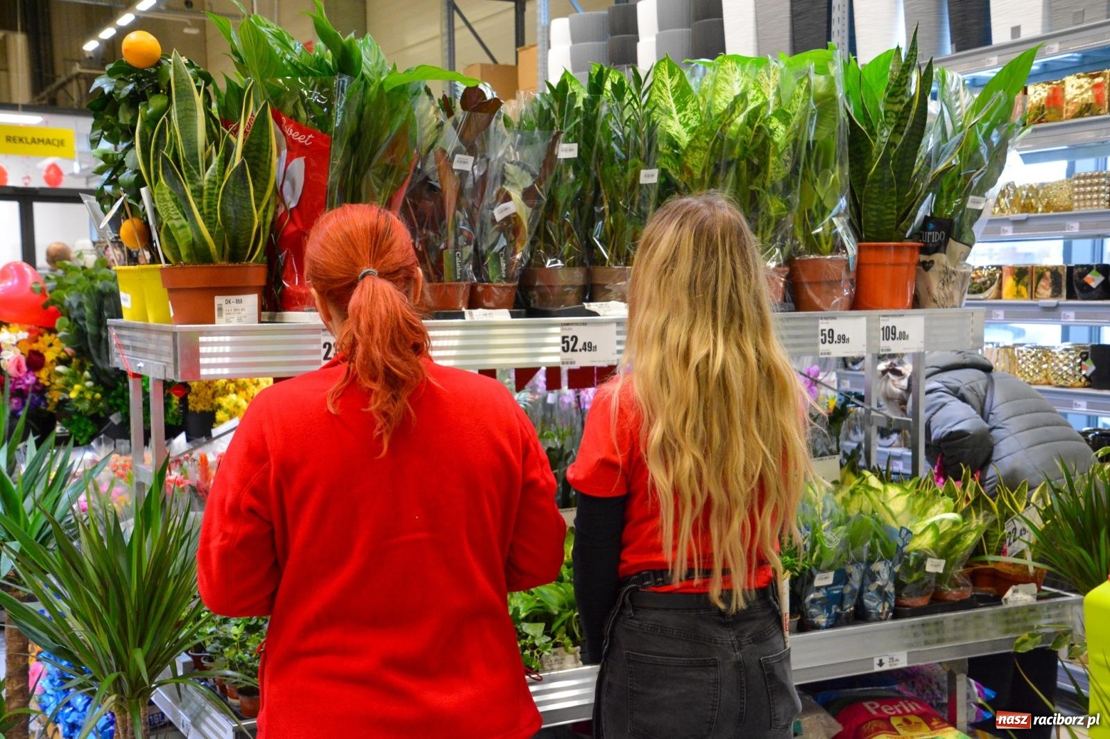 Zdjęcie w galerii na portalu naszraciborz.pl: Bricomarché rozszerza sieć o Racibórz. Dziś otwarto sklep przy Opawskiej wiadomości z regionu