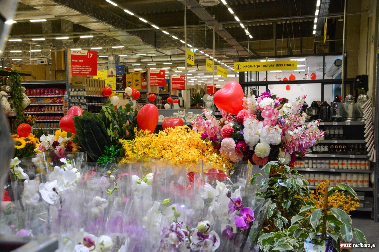 Zdjęcie w galerii na portalu naszraciborz.pl: Bricomarché rozszerza sieć o Racibórz. Dziś otwarto sklep przy Opawskiej wiadomości z regionu