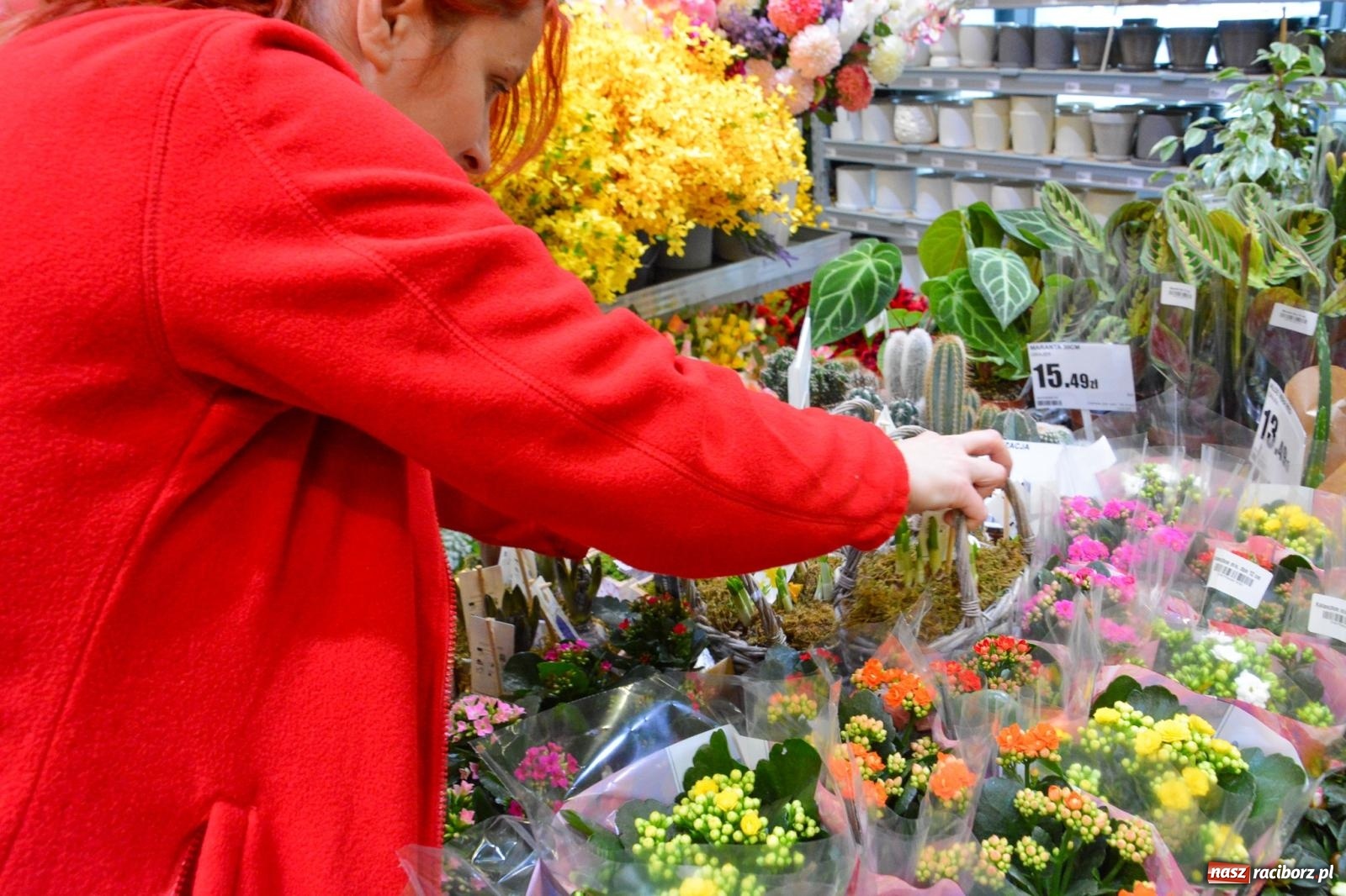 Zdjęcie w galerii na portalu naszraciborz.pl: Bricomarché rozszerza sieć o Racibórz. Dziś otwarto sklep przy Opawskiej wiadomości z regionu