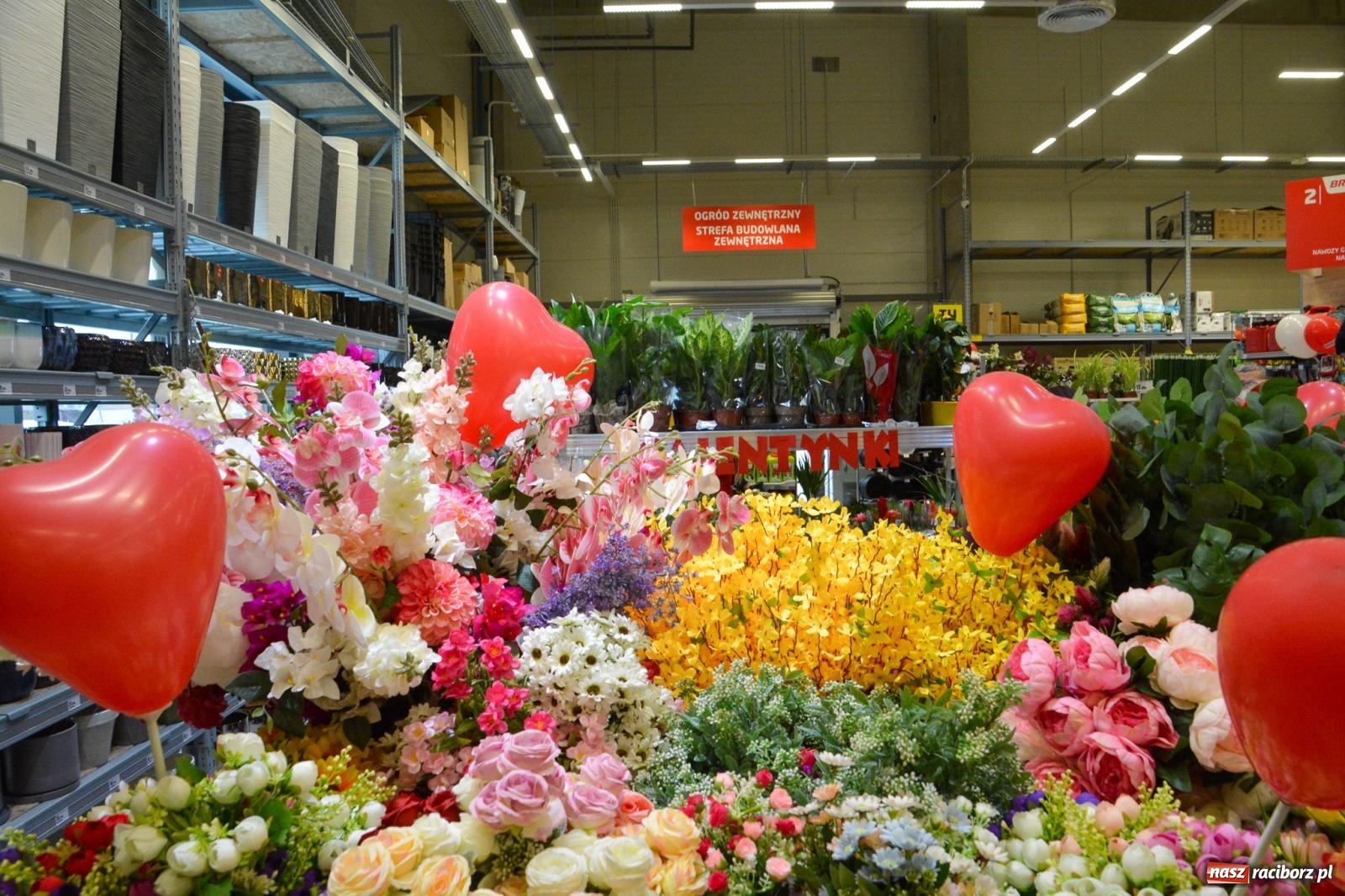 Zdjęcie w galerii na portalu naszraciborz.pl: Bricomarché rozszerza sieć o Racibórz. Dziś otwarto sklep przy Opawskiej wiadomości z regionu