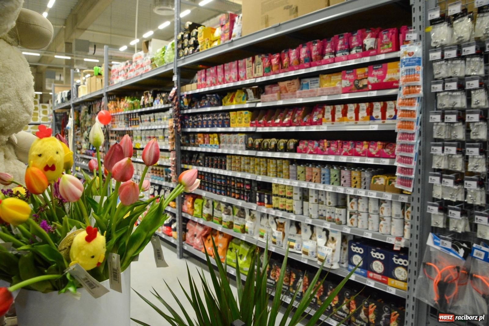 Zdjęcie w galerii na portalu naszraciborz.pl: Bricomarché rozszerza sieć o Racibórz. Dziś otwarto sklep przy Opawskiej wiadomości z regionu