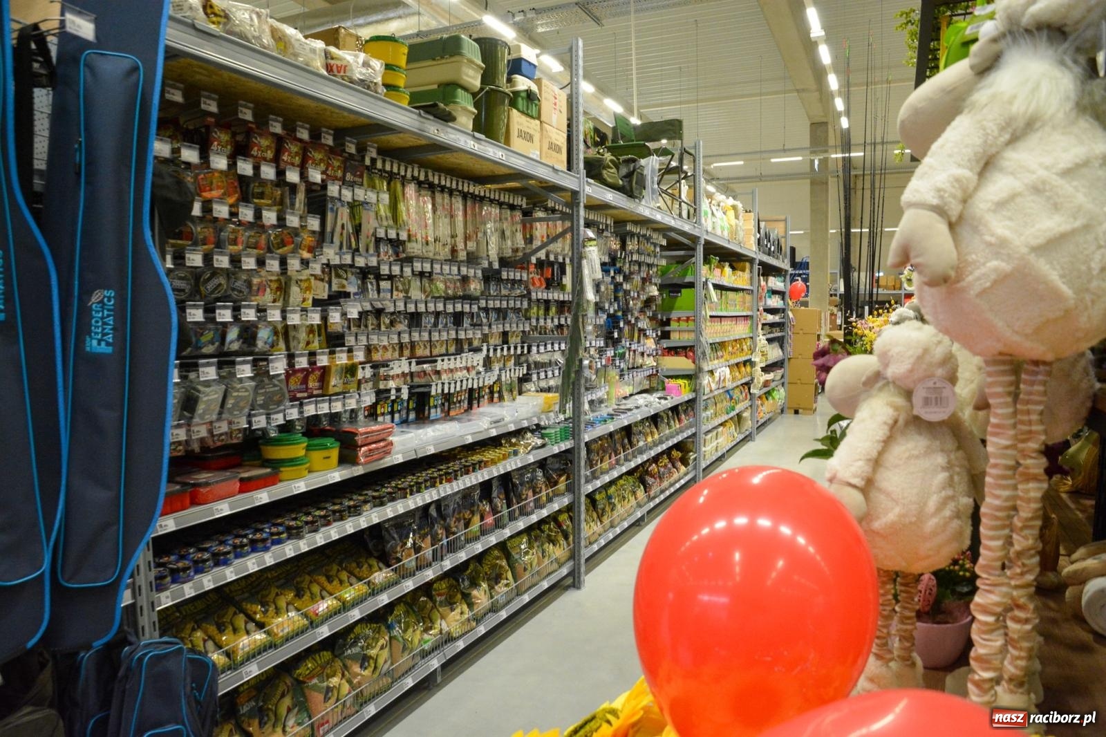 Zdjęcie w galerii na portalu naszraciborz.pl: Bricomarché rozszerza sieć o Racibórz. Dziś otwarto sklep przy Opawskiej wiadomości z regionu