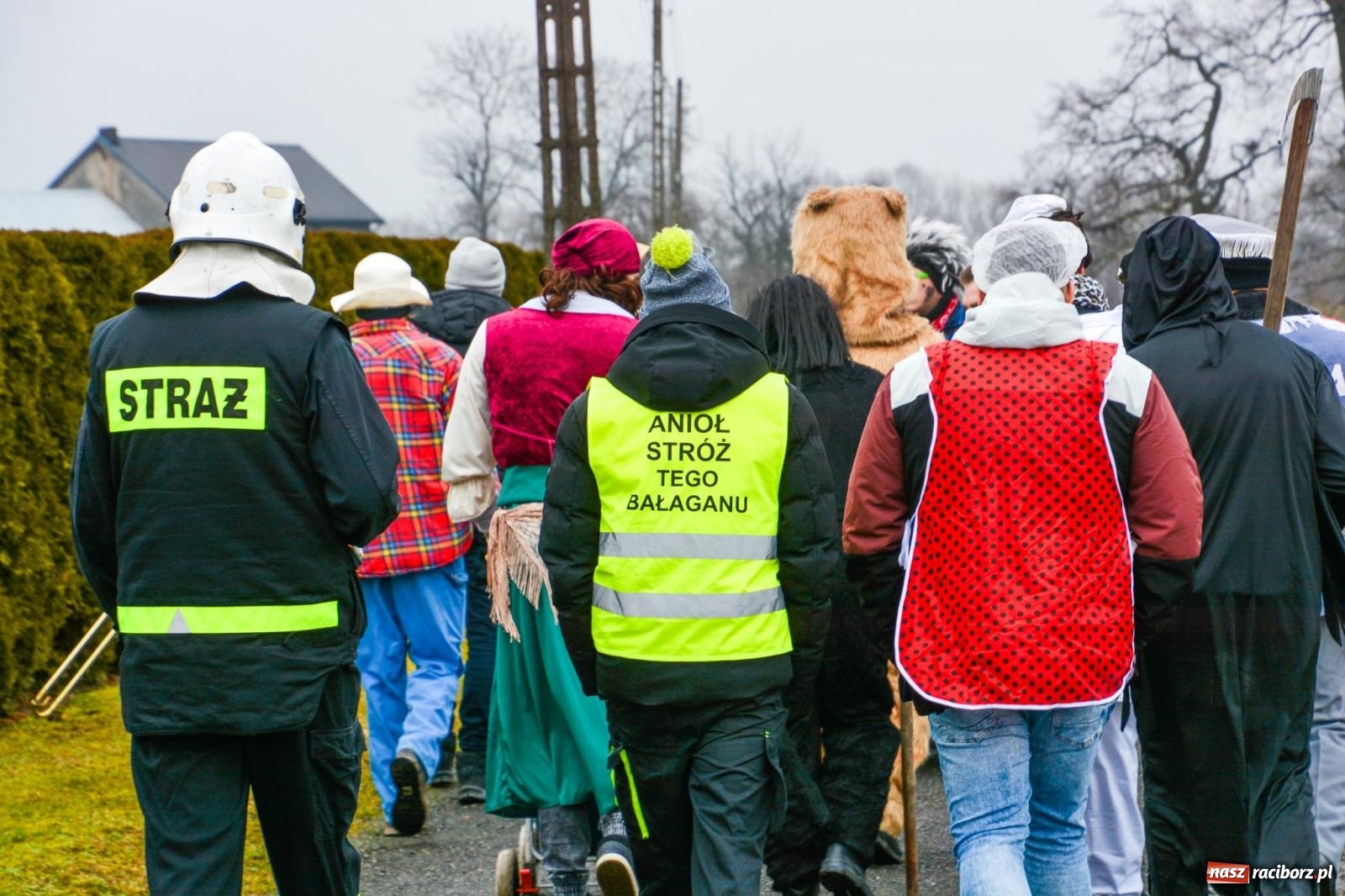 Zdjęcie w galerii na portalu naszraciborz.pl: Śląskie wodzenie niedźwiedzia: Tradycja, która wciąż tętni życiem w gminie Rudnik wiadomości z regionu