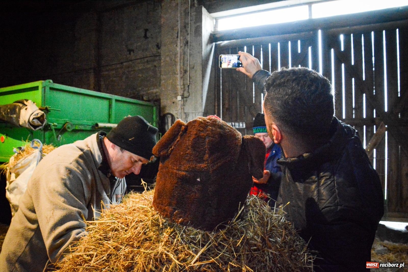 Zdjęcie w galerii na portalu naszraciborz.pl: TANZBÄR w Samborowicach: Miś z zagranicy i wielki debiut Francesco [FOTO i WIDEO] wiadomości z regionu