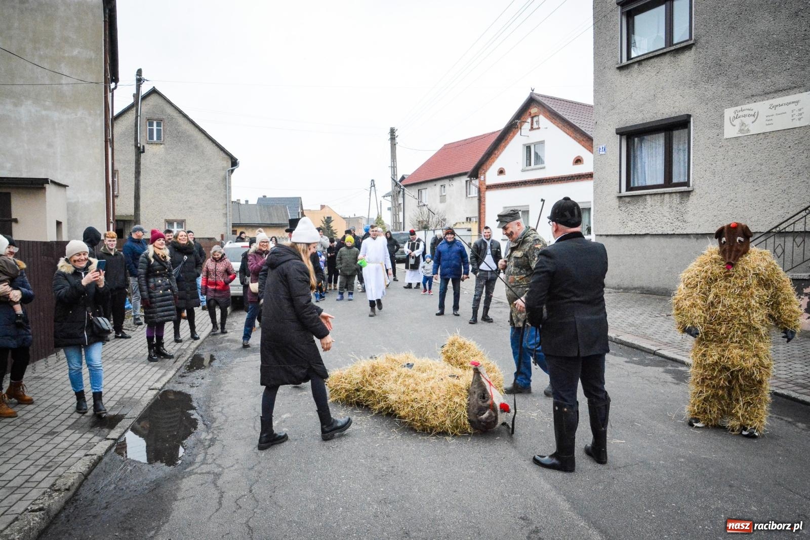 Zdjęcie w galerii na portalu naszraciborz.pl: TANZBÄR w Samborowicach: Miś z zagranicy i wielki debiut Francesco [FOTO i WIDEO] wiadomości z regionu