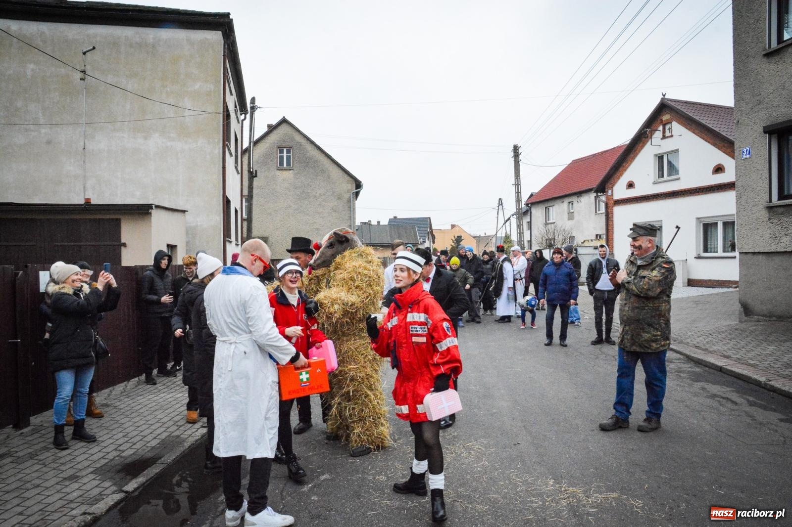 Zdjęcie w galerii na portalu naszraciborz.pl: TANZBÄR w Samborowicach: Miś z zagranicy i wielki debiut Francesco [FOTO i WIDEO] wiadomości z regionu