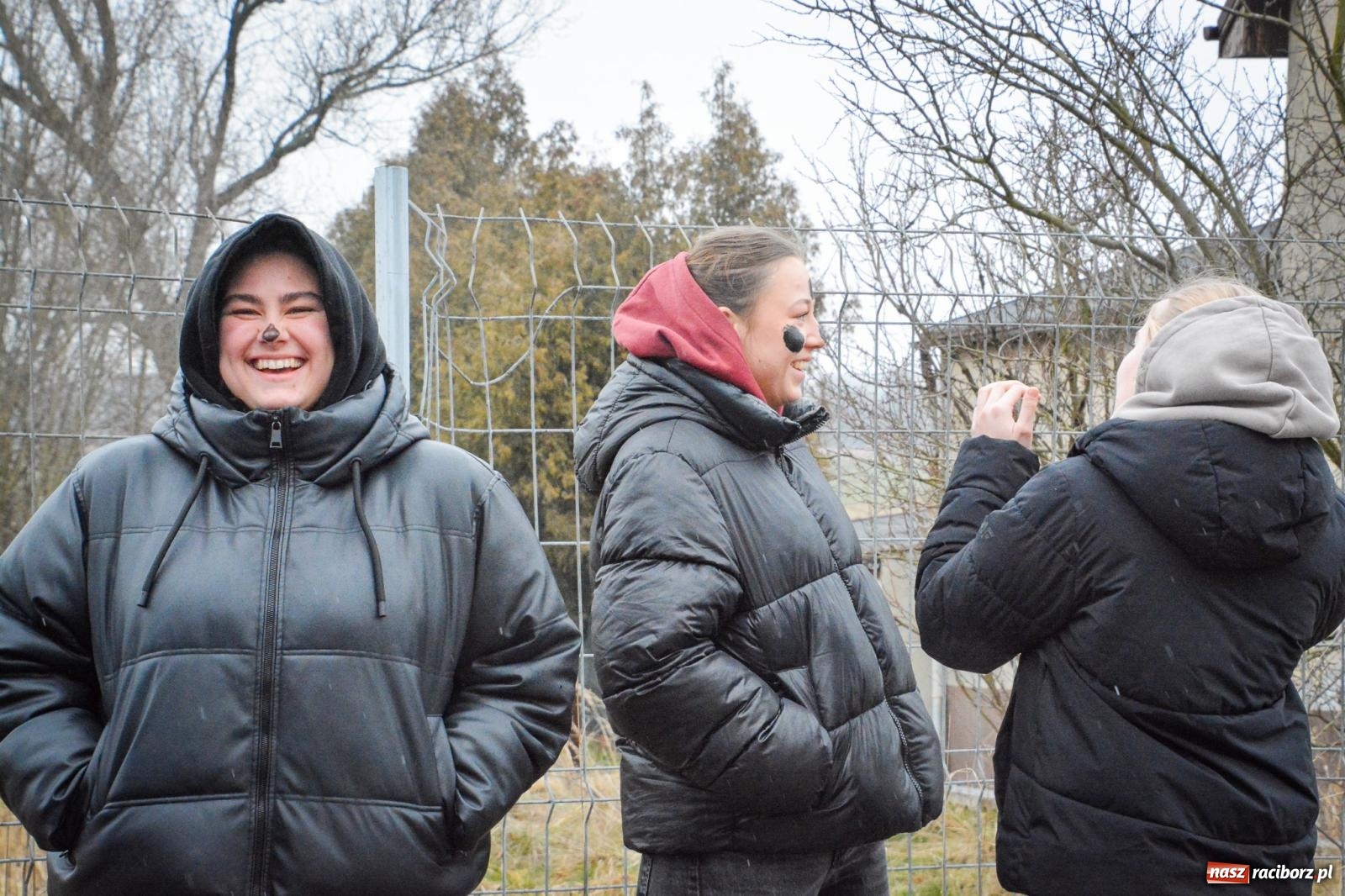 Zdjęcie w galerii na portalu naszraciborz.pl: TANZBÄR w Samborowicach: Miś z zagranicy i wielki debiut Francesco [FOTO i WIDEO] wiadomości z regionu