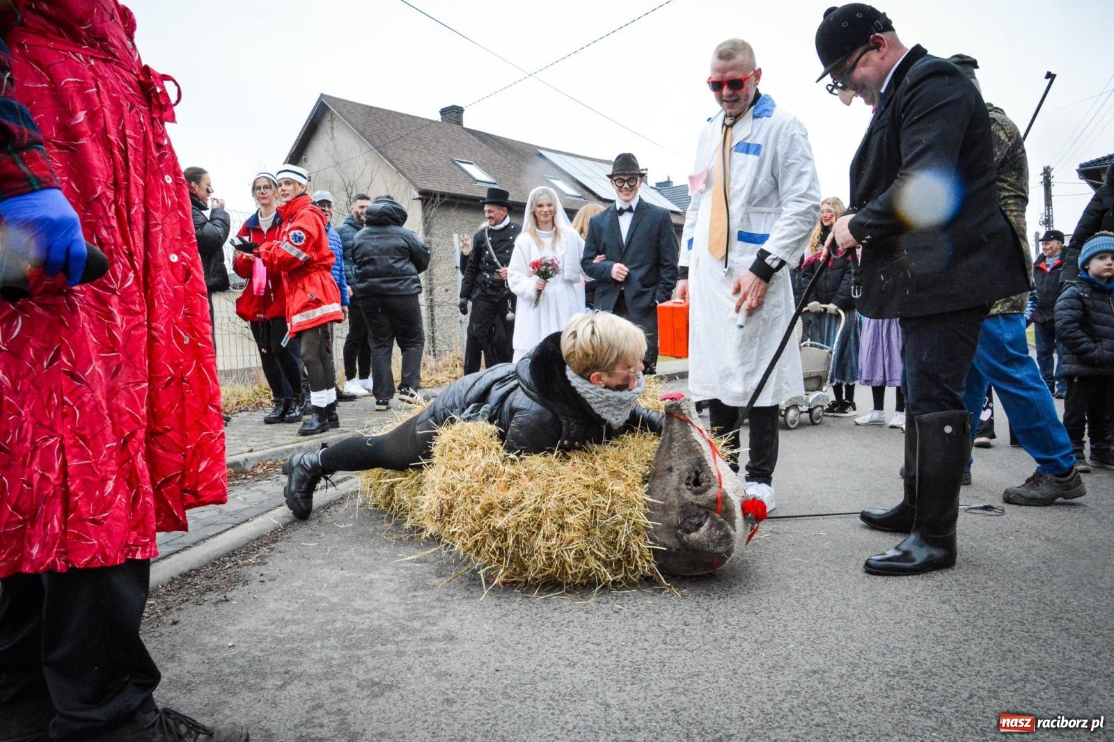 Zdjęcie w galerii na portalu naszraciborz.pl: TANZBÄR w Samborowicach: Miś z zagranicy i wielki debiut Francesco [FOTO i WIDEO] wiadomości z regionu