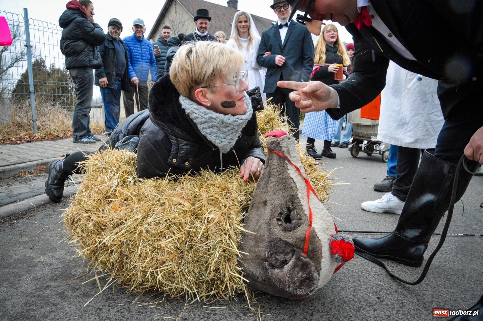Zdjęcie w galerii na portalu naszraciborz.pl: TANZBÄR w Samborowicach: Miś z zagranicy i wielki debiut Francesco [FOTO i WIDEO] wiadomości z regionu