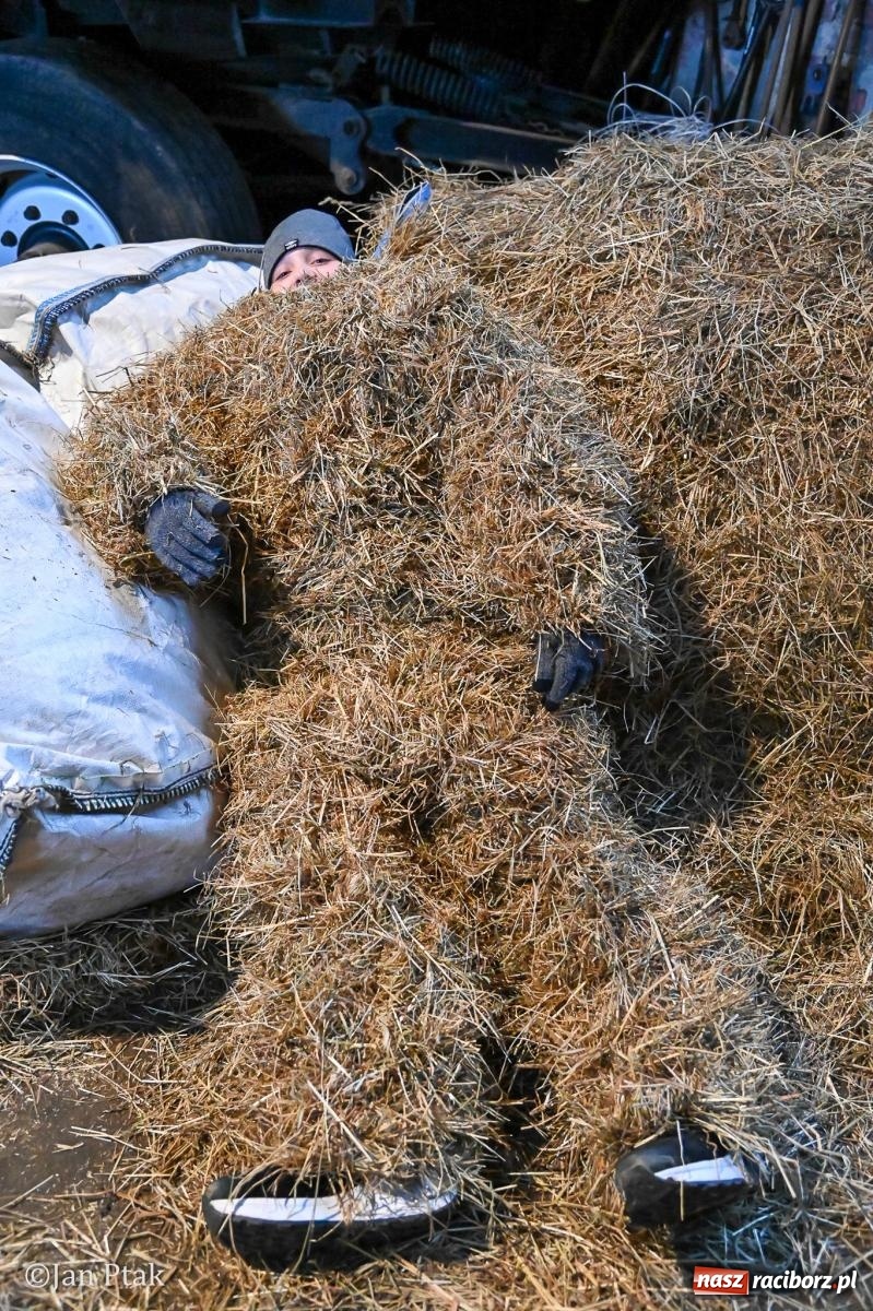 Zdjęcie w galerii na portalu naszraciborz.pl: Samborowice żegną karnawał: Tanzbär i słomiane misie na bis! [GALERIA] wiadomości z regionu