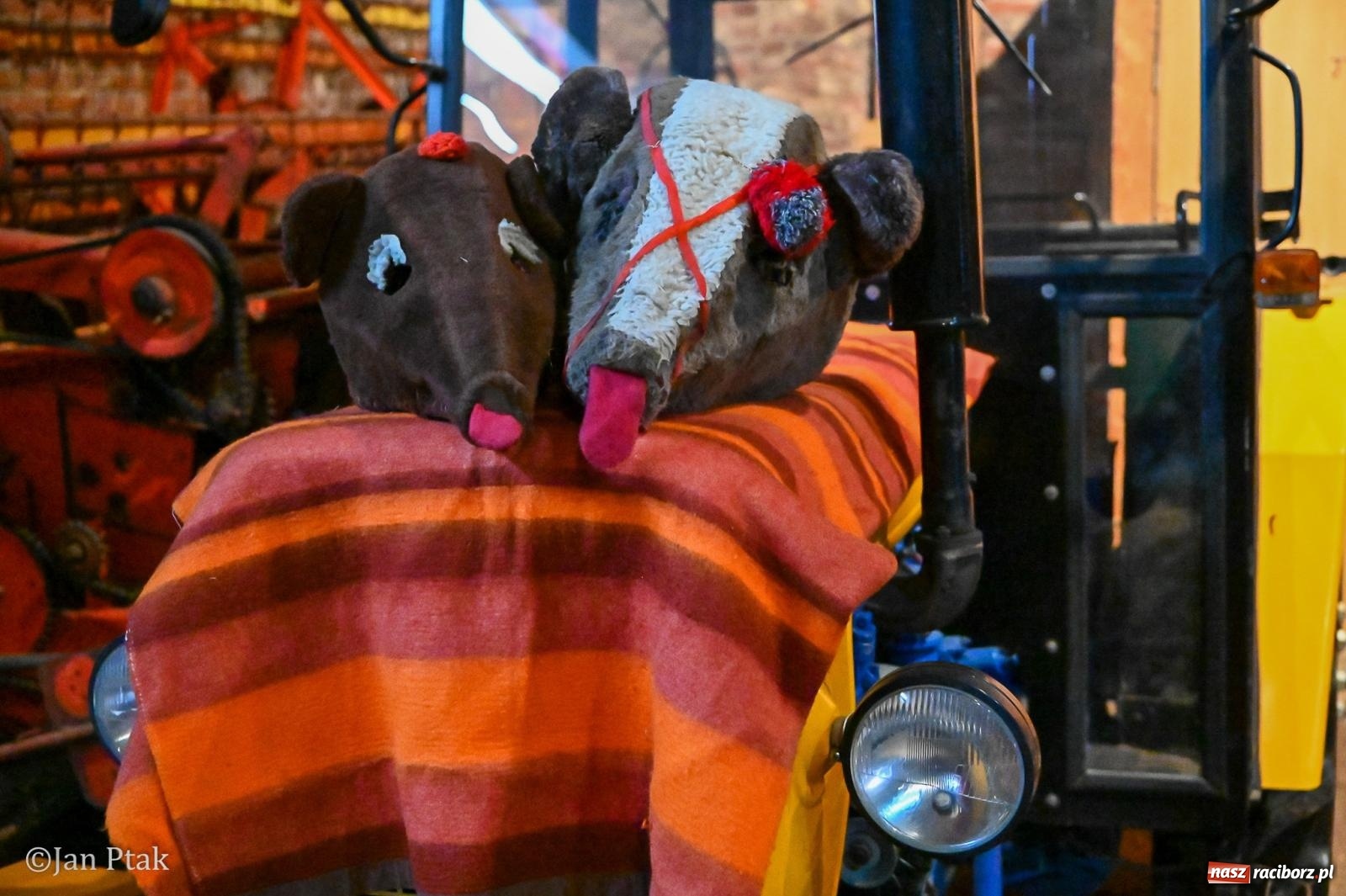 Zdjęcie w galerii na portalu naszraciborz.pl: Samborowice żegną karnawał: Tanzbär i słomiane misie na bis! [GALERIA] wiadomości z regionu