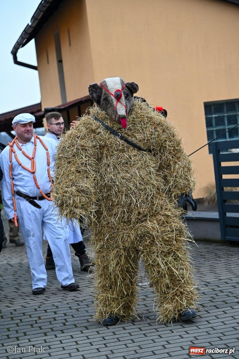 Zdjęcie w galerii na portalu naszraciborz.pl: Samborowice żegną karnawał: Tanzbär i słomiane misie na bis! [GALERIA] wiadomości z regionu