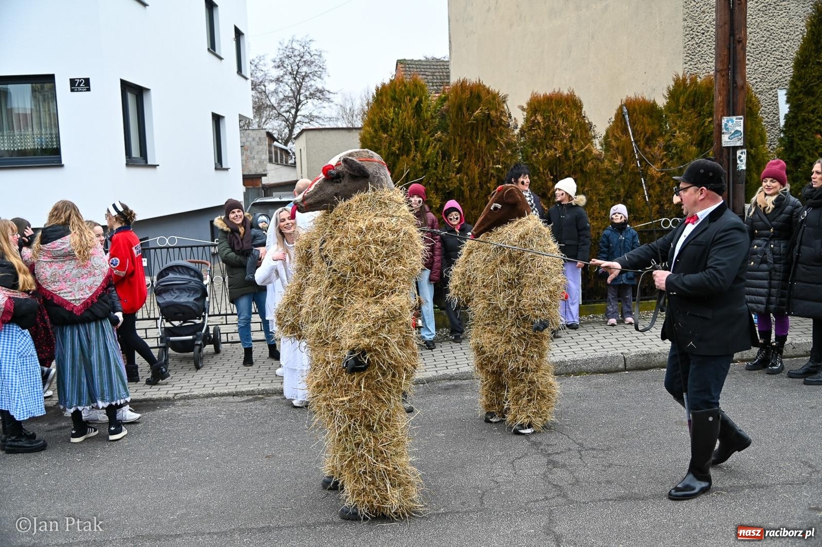 Zdjęcie w galerii na portalu naszraciborz.pl: Samborowice żegną karnawał: Tanzbär i słomiane misie na bis! [GALERIA] wiadomości z regionu