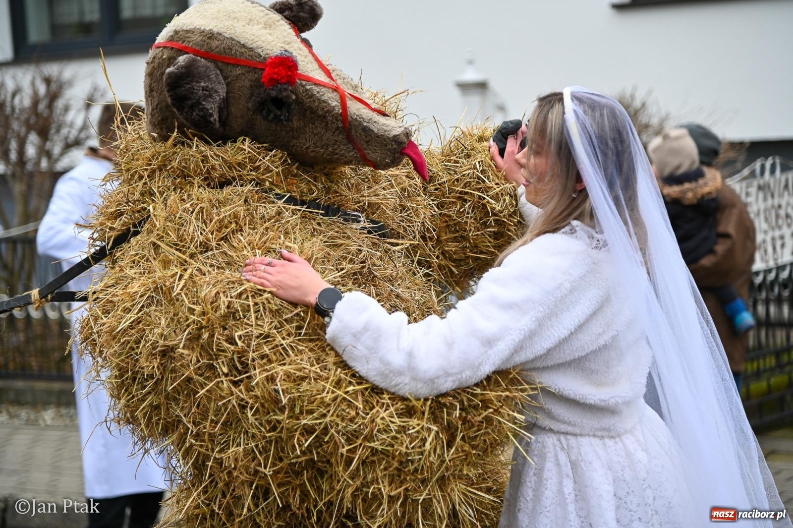 Zdjęcie w galerii na portalu naszraciborz.pl: Samborowice żegną karnawał: Tanzbär i słomiane misie na bis! [GALERIA] wiadomości z regionu