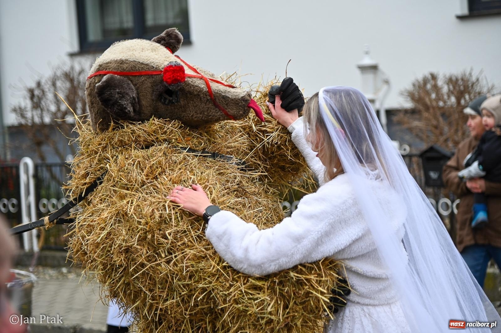 Zdjęcie w galerii na portalu naszraciborz.pl: Samborowice żegną karnawał: Tanzbär i słomiane misie na bis! [GALERIA] wiadomości z regionu