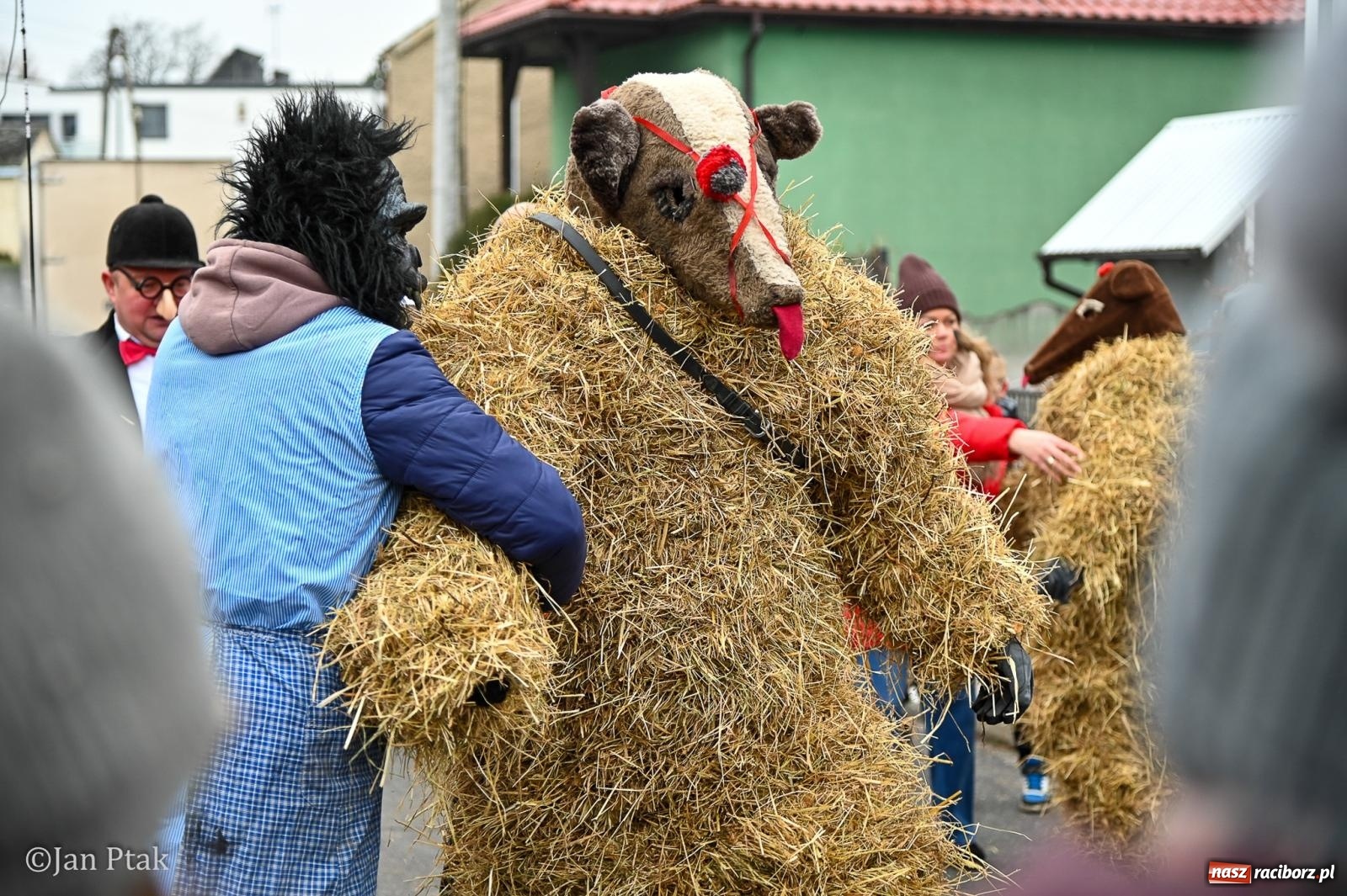 Zdjęcie w galerii na portalu naszraciborz.pl: Samborowice żegną karnawał: Tanzbär i słomiane misie na bis! [GALERIA] wiadomości z regionu