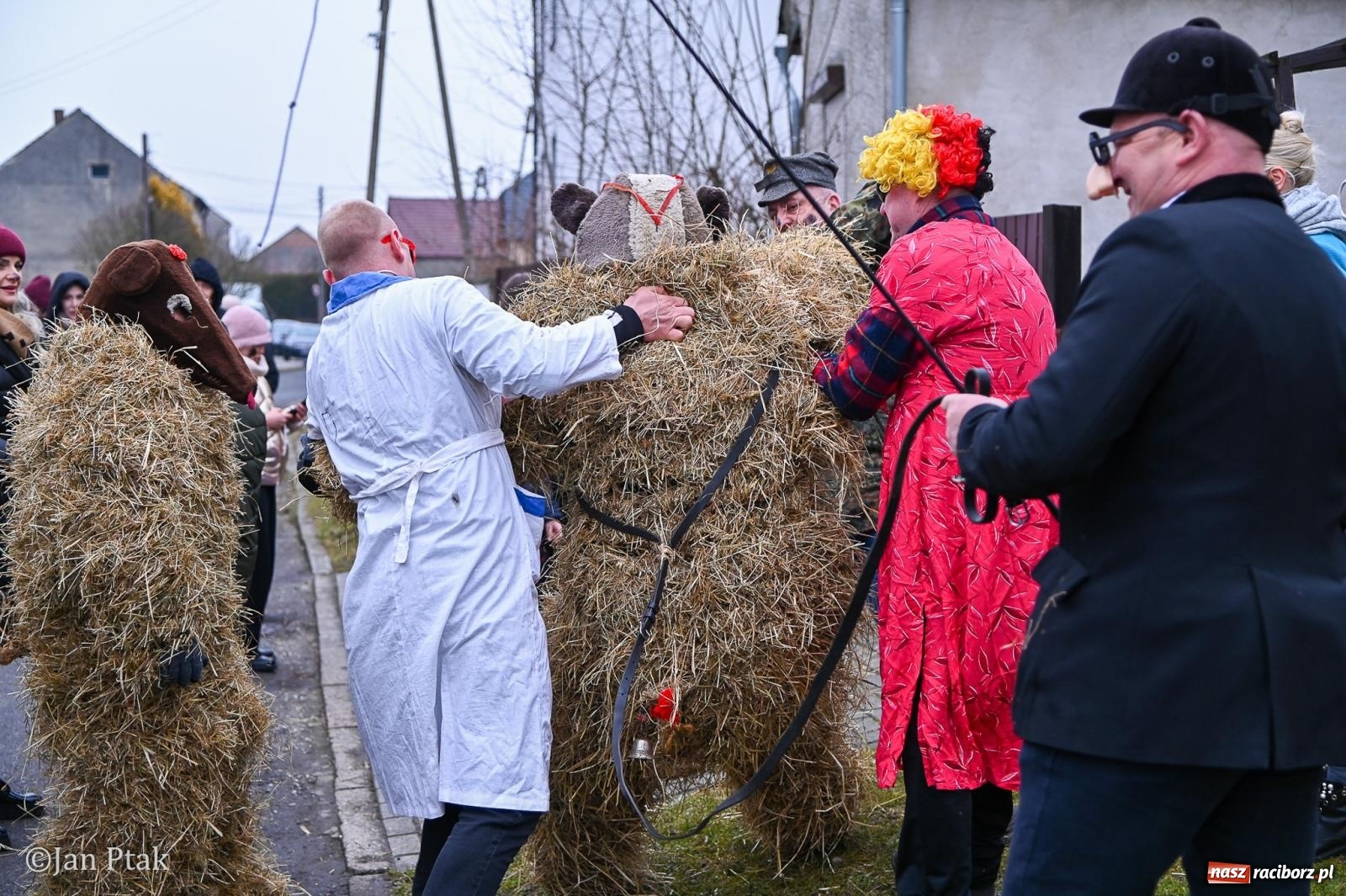 Zdjęcie w galerii na portalu naszraciborz.pl: Samborowice żegną karnawał: Tanzbär i słomiane misie na bis! [GALERIA] wiadomości z regionu