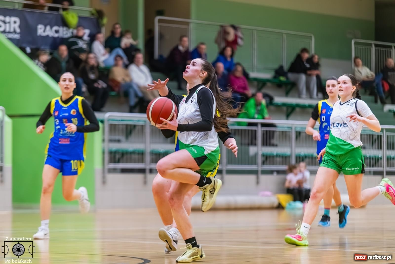 Zdjęcie w galerii na portalu naszraciborz.pl: Koszykówka. Chrobry Głuchołazy za silny dla Raciborzanek [FOTO i WIDEO] wiadomości z regionu