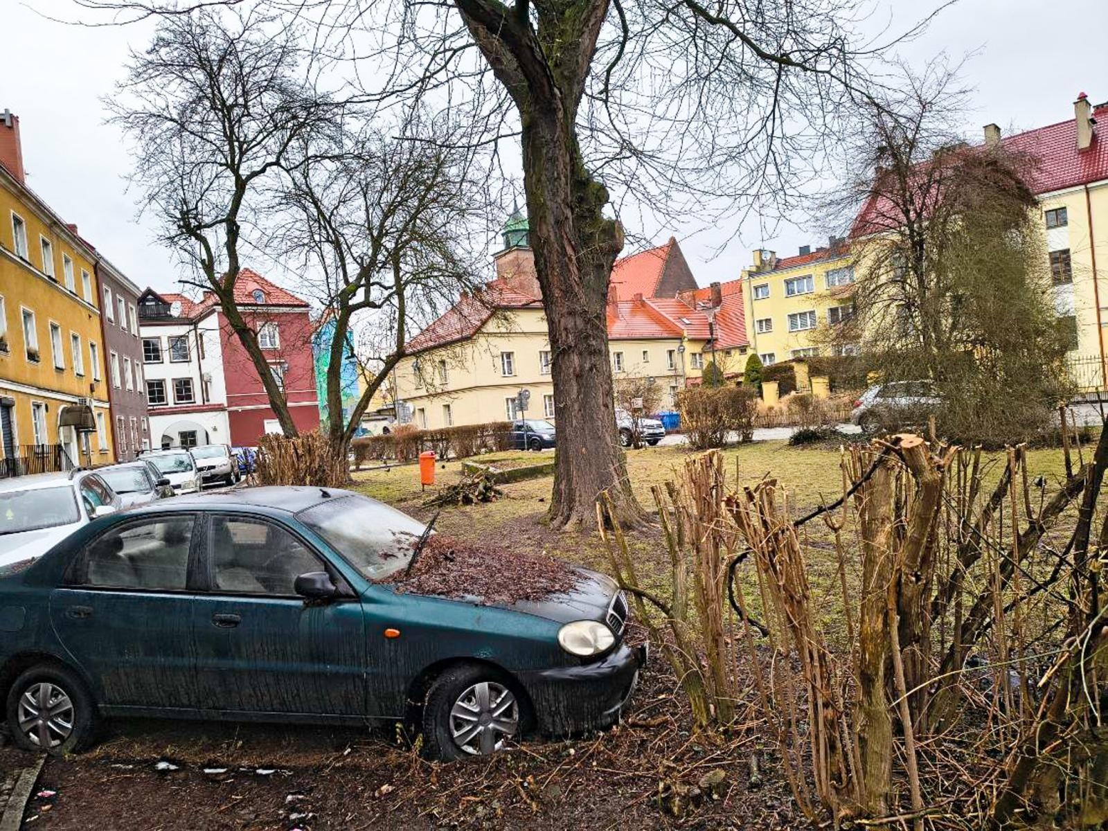 Zdjęcie w galerii na portalu naszraciborz.pl: Koszty rosną, a wrak wrasta w ziemię. Czy idea Ogrodu Malucha przetrwa zderzenie z rynkową i pokoleniową rzeczywistością? wiadomości z regionu