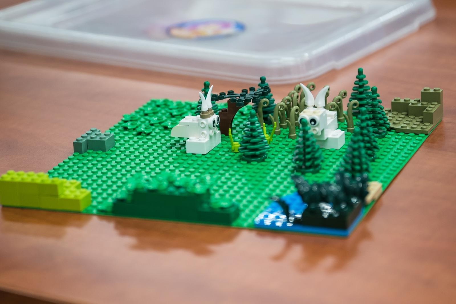 Zdjęcie w galerii na portalu naszraciborz.pl: Ponad pół miliona klocków na Zamku Piastowskim – ferie w Powiecie Raciborskim trwają wiadomości z regionu