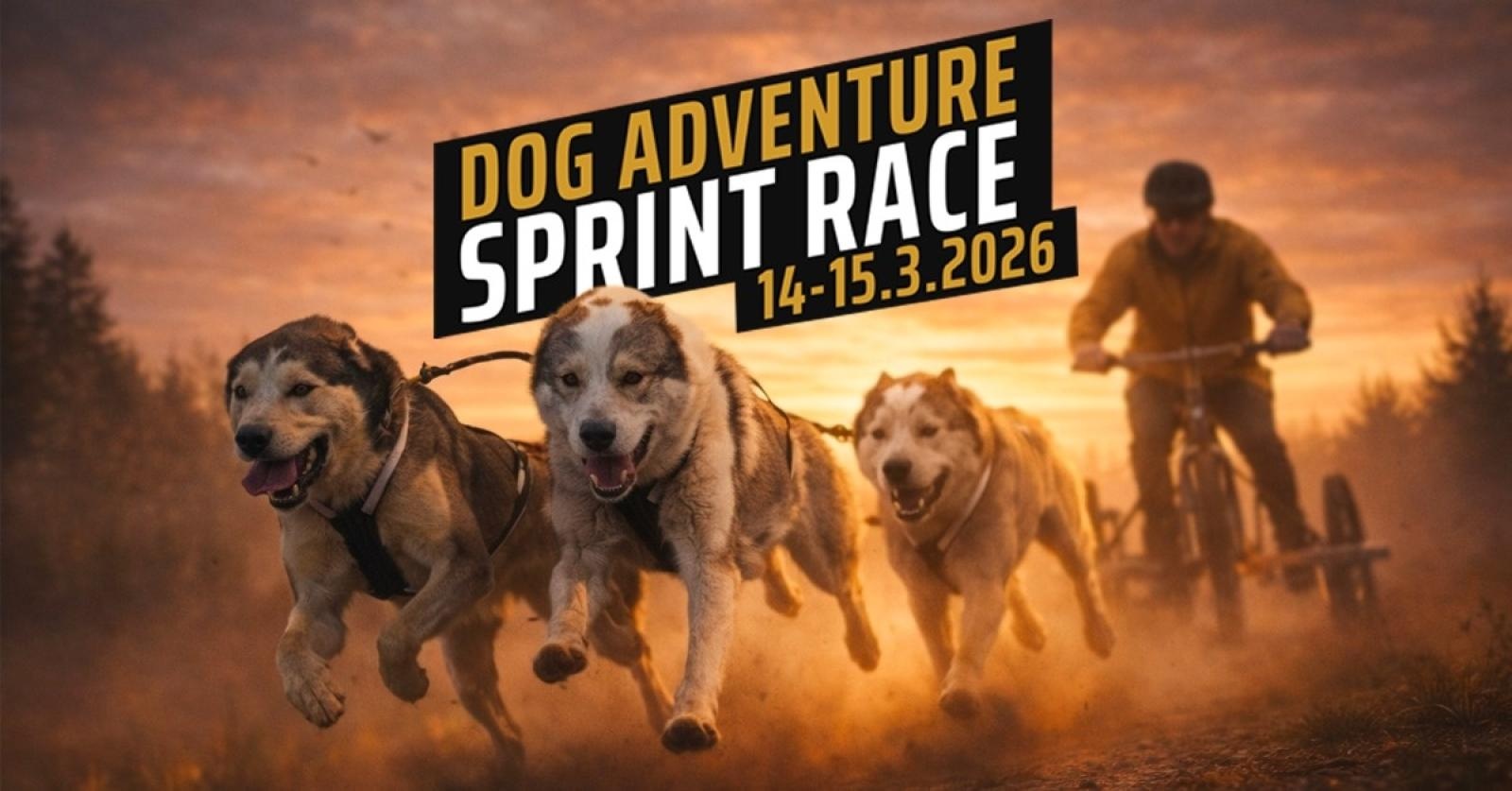 Zdjęcie w galerii na portalu naszraciborz.pl: Sportowe emocje, psy i adrenalina – Dog Adventure Sprint Race już 14–15 marca w kuźniańskim Wodniku wiadomości z regionu