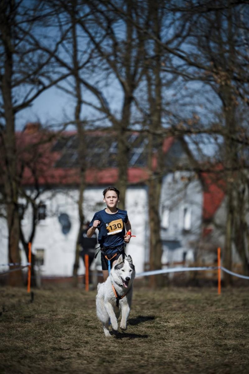Zdjęcie w galerii na portalu naszraciborz.pl: Sportowe emocje, psy i adrenalina – Dog Adventure Sprint Race już 14–15 marca w kuźniańskim Wodniku wiadomości z regionu