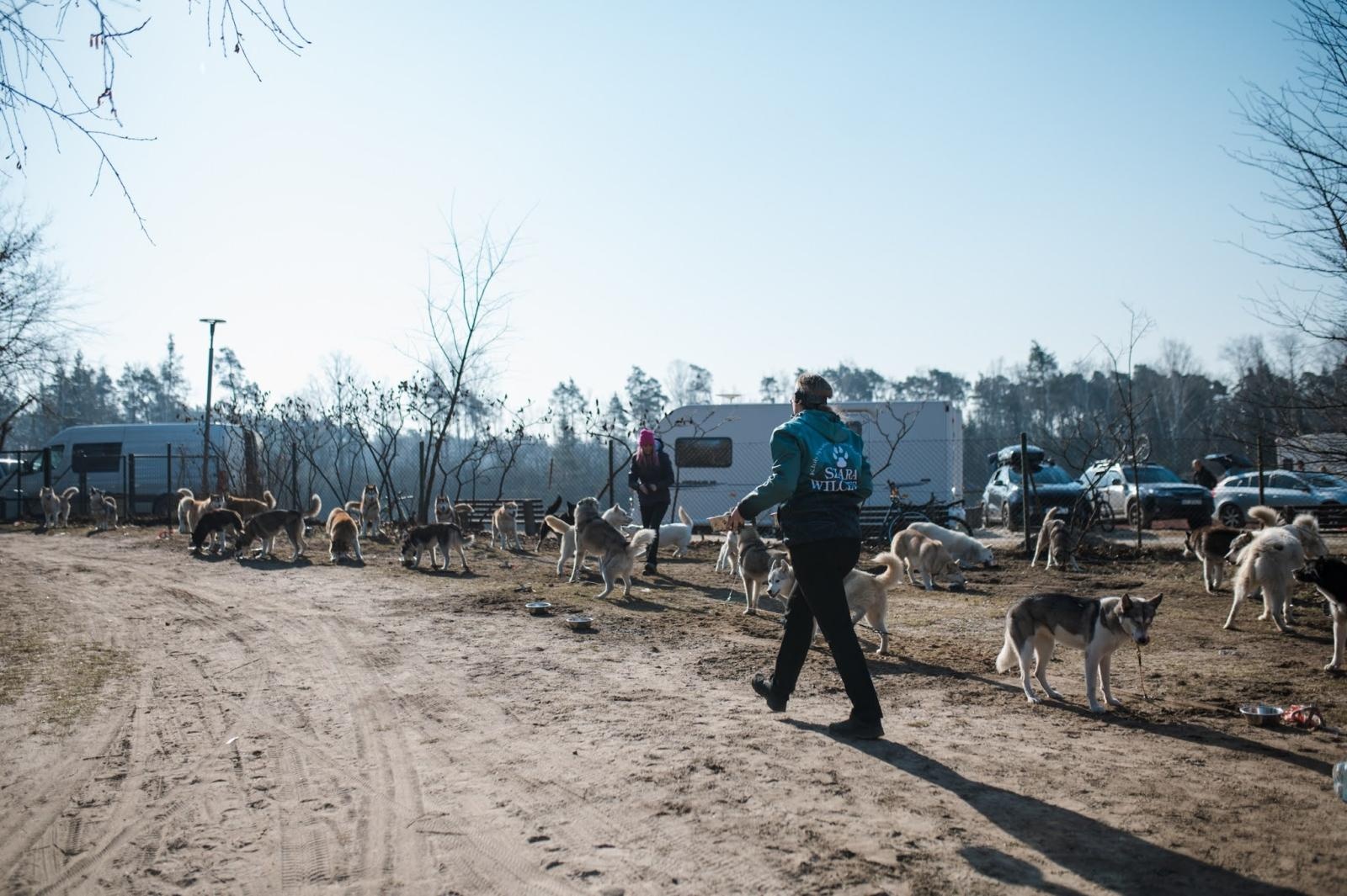 Zdjęcie w galerii na portalu naszraciborz.pl: Sportowe emocje, psy i adrenalina – Dog Adventure Sprint Race już 14–15 marca w kuźniańskim Wodniku wiadomości z regionu