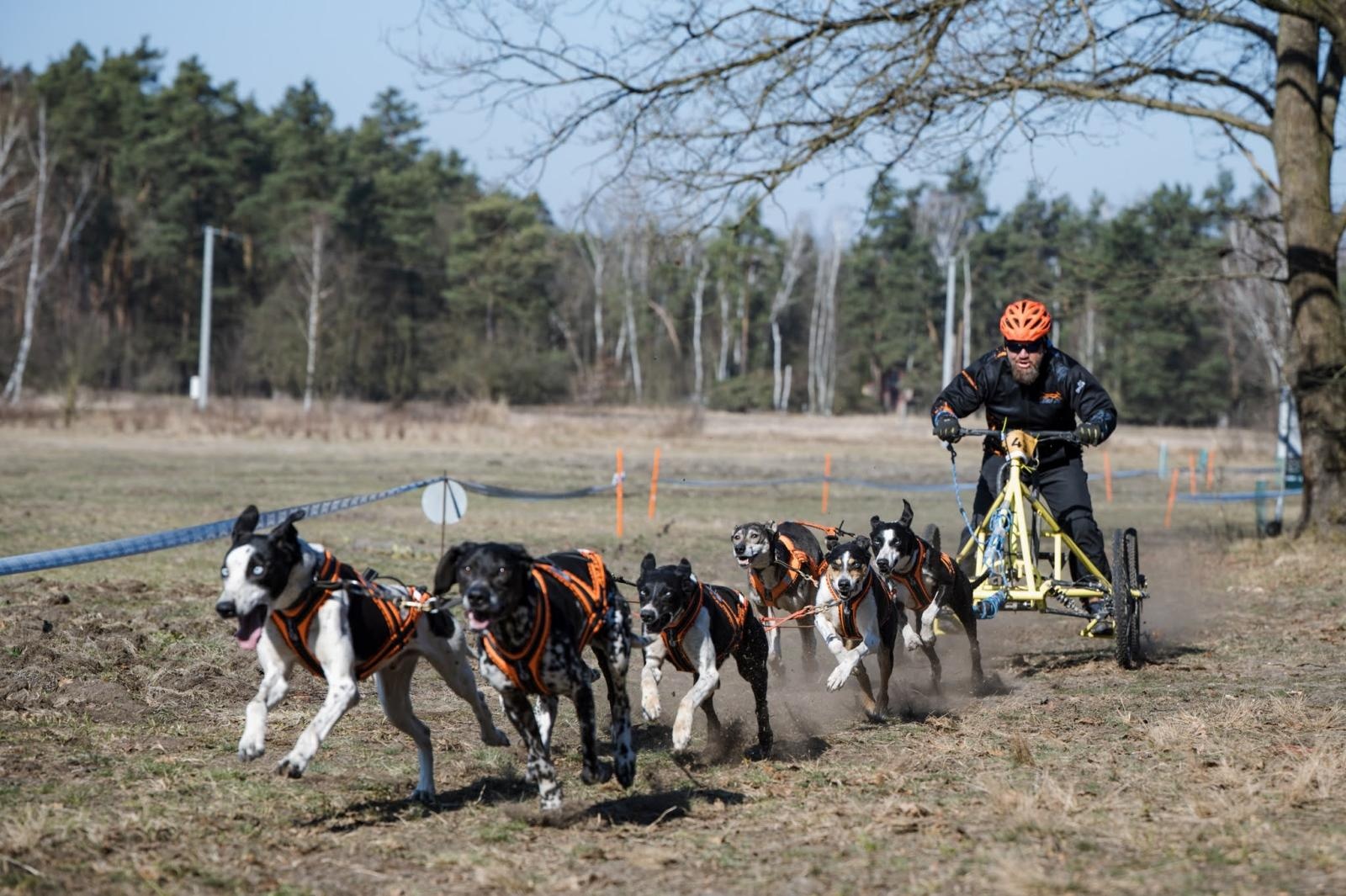 Zdjęcie w galerii na portalu naszraciborz.pl: Sportowe emocje, psy i adrenalina – Dog Adventure Sprint Race już 14–15 marca w kuźniańskim Wodniku wiadomości z regionu