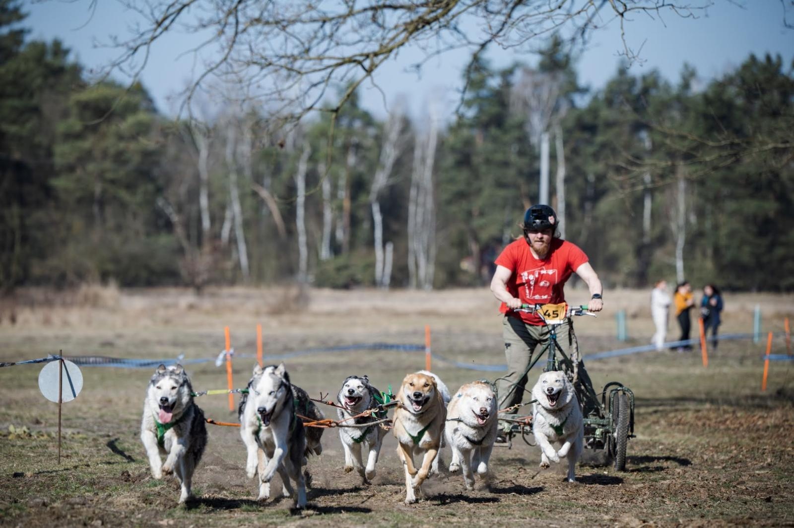 Zdjęcie w galerii na portalu naszraciborz.pl: Sportowe emocje, psy i adrenalina – Dog Adventure Sprint Race już 14–15 marca w kuźniańskim Wodniku wiadomości z regionu