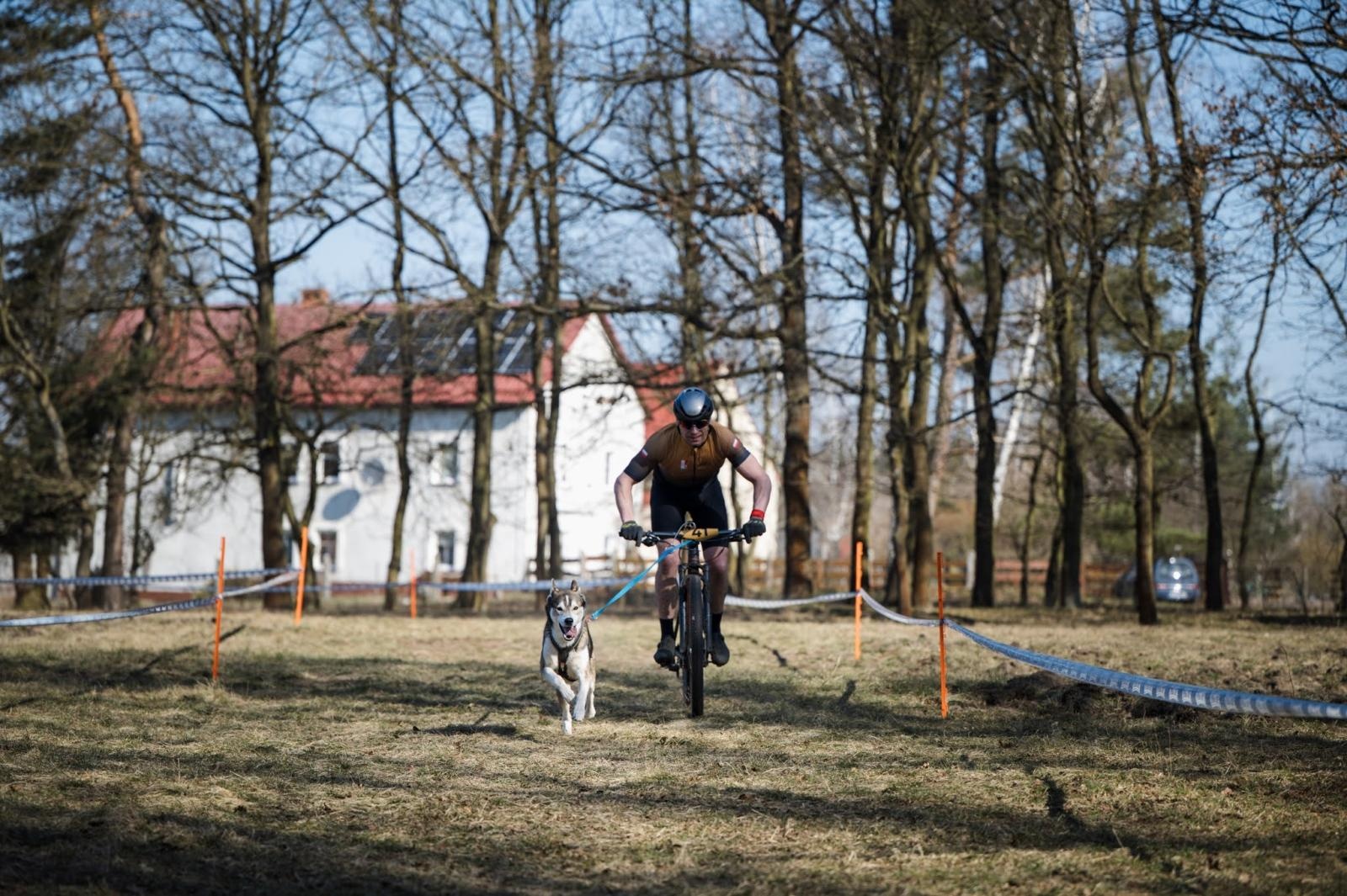 Zdjęcie w galerii na portalu naszraciborz.pl: Sportowe emocje, psy i adrenalina – Dog Adventure Sprint Race już 14–15 marca w kuźniańskim Wodniku wiadomości z regionu