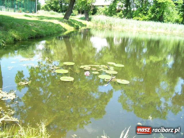 Zdjęcie w galerii na portalu naszraciborz.pl: Majówka konna w Krowiarkach wiadomości z regionu