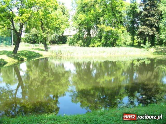 Zdjęcie w galerii na portalu naszraciborz.pl: Majówka konna w Krowiarkach wiadomości z regionu