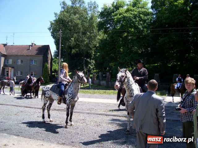 Zdjęcie w galerii na portalu naszraciborz.pl: Majówka konna w Krowiarkach wiadomości z regionu